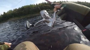 Рыбалка на Кольском полуострове. Июль 2019. ЧАСТЬ 1.