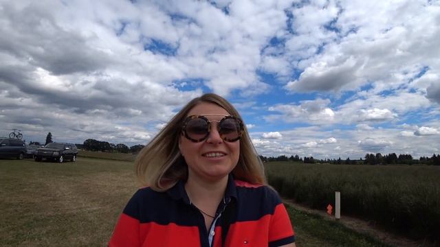 Сад пионов, штат Орегон. Сортовые пионы. Adelman Peony Gardens, Oregon смотреть онлайн