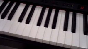 Roland RP401R