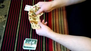 Клонирование мамонтов удачный эксперимент