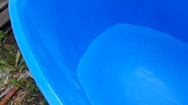 Ванна 1000 литров смотреть онлайн