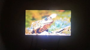 Blaupunkt 164 cm (65 inch) QLED Ultra HD (4K) Smart Google TV With Dolby Atmos (65QD7030)