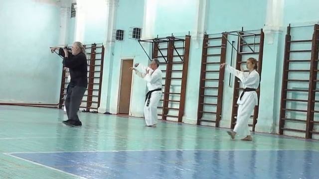 тайцзы цюань стиль Ян 24 формы смотреть онлайн