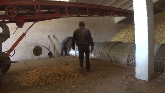 Лук нам уже СНИТСЯ смотреть онлайн