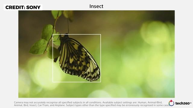 Sony a7R V First Impressions: New 61MP Sensor! | Better Than Sony A1? смотреть онлайн