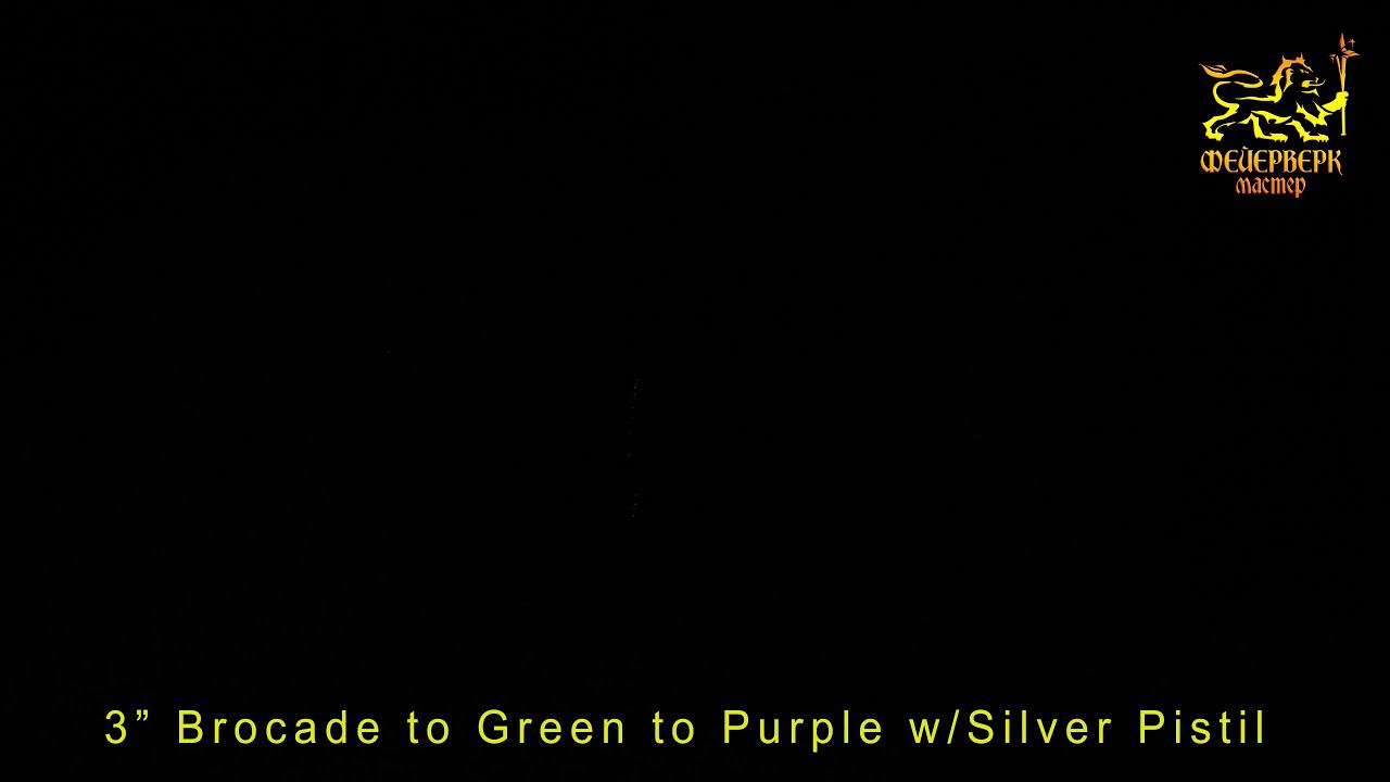 3" Brocade to Green to Purple w/Silver Pistil