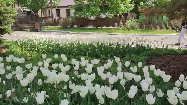 Белгород, красивый город 18 05 23