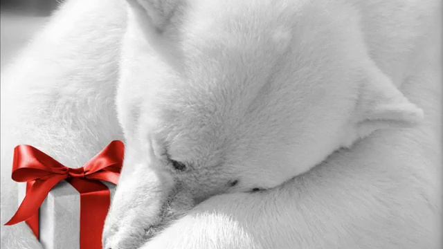 КАРТИНКИ ДЛЯ РАБОЧЕГО СТОЛА смотреть онлайн