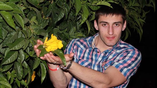 Египет 2013 смотреть онлайн