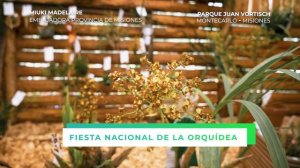 Fiesta Nacional de la Orquídea | Montecarlo