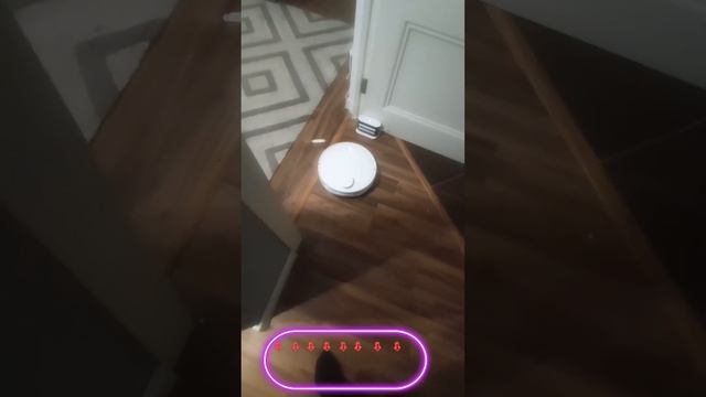 Робот пылесос Xiaomi Robot Vacum