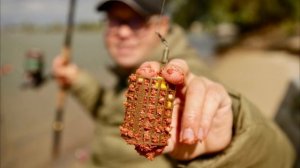 В чем основное отличие Фидера от Донки?