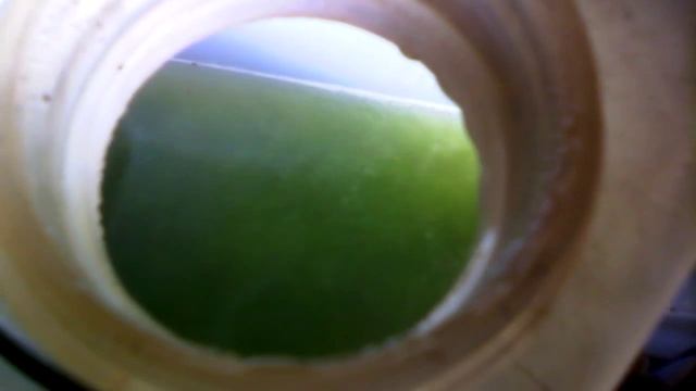 Кипит Калина смотреть онлайн