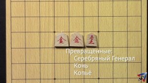 Как играть в Сёги (японские шахматы)