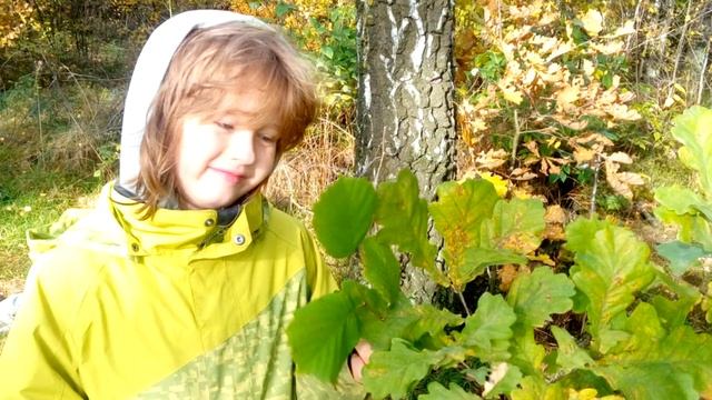 13н. Рассказ Филипок смотреть онлайн