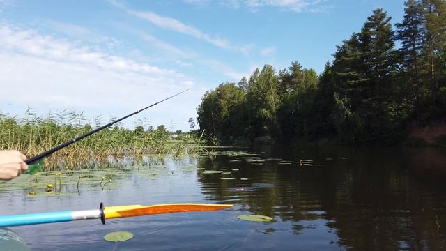 Вырица. Оредеж. Байдарка. DJI Osmo Pocket и Fuji X-T2. 22 июня 2019 смотреть онлайн