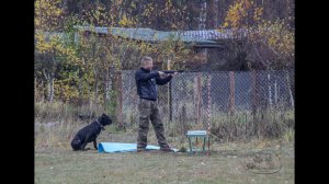 29.10.2022 г. соревнования "Военизированная полоса препятствий"/ кане - корсо Зелеста