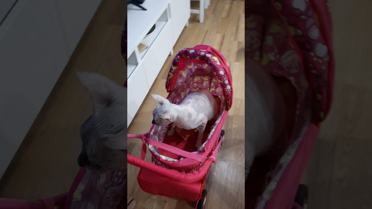 Витя укачивает Асю смотреть онлайн