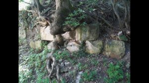 В поисках крепости Никопсия