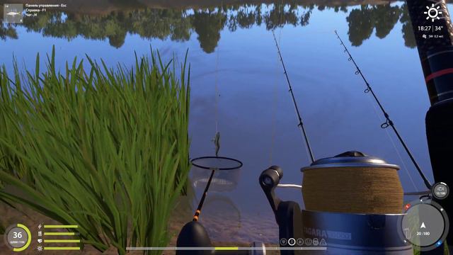 РР 4 ловим на живца. смотреть онлайн