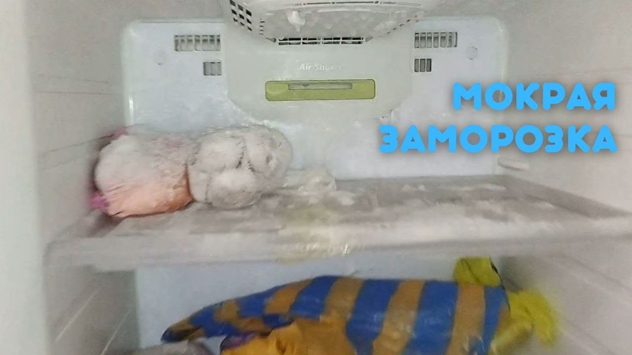 Холодильник ноу фрост намораживает лед!!! смотреть онлайн