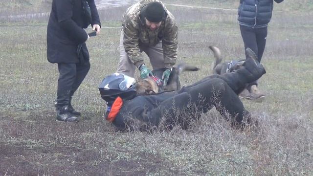 ЗКС, Харьков, Карповский сад, 15.12.2019 смотреть онлайн