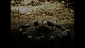 Minuscule - The Right Seed