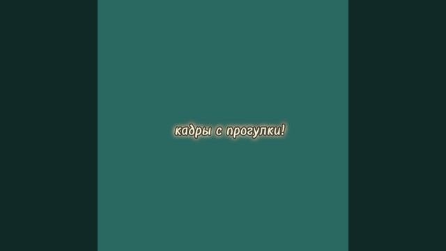 ||☆||влог||☆||