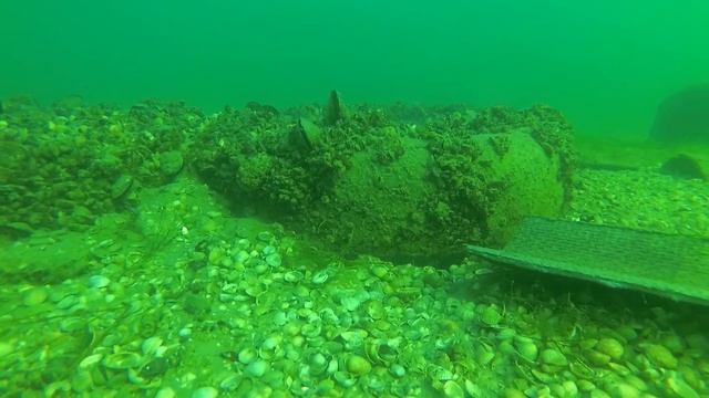 Бердянск. Подводный мир азовского моря. Глубина 4 метра смотреть онлайн