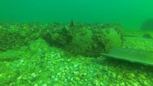 Бердянск. Подводный  мир азовского моря. Глубина 4 метра