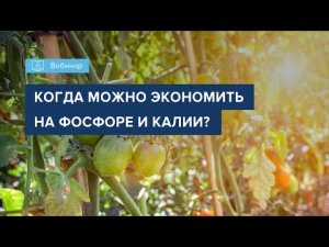 Вебинар 2022_КОГДА МОЖНО ЭКОНОМИТЬ НА ФОСФОРЕ И КАЛИИ