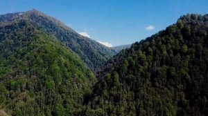 Жизнь в Грузинском селе. Поездка в национальный парк Мтирала. National Park Mtirala