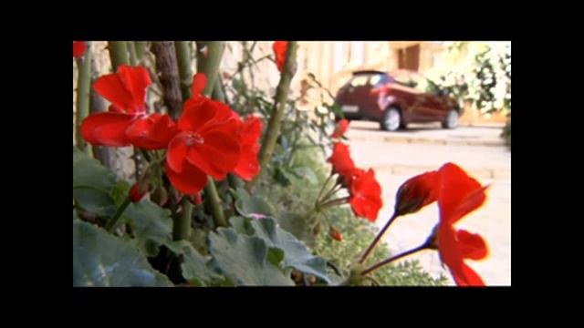 Новая Mazda2 (HD) смотреть онлайн