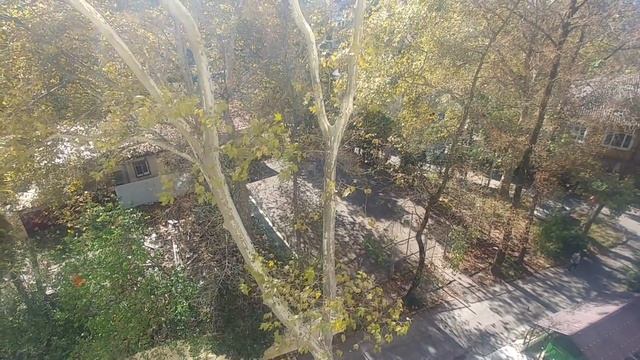 Обзор ЖК "Прагма", 92 тысячи за квадрат. Недвижимость Сочи смотреть онлайн