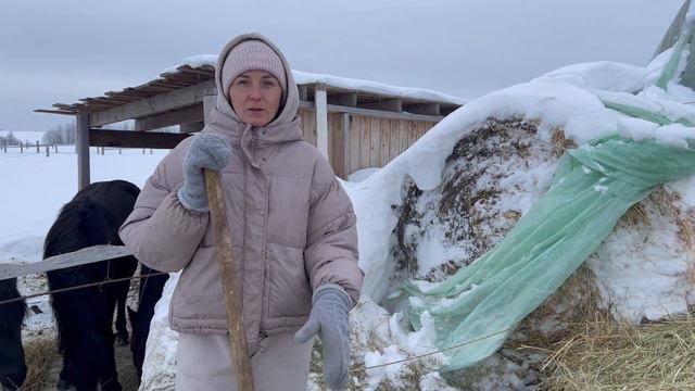ЖИЗНЬ В ДЕРЕВНЕ\ ЖЕНА ЗАПРЕЩАЕТ ПОКУПАТЬ СНЕГОУБОРЩИК\РЕСТАВРИРУЕМ КАРЕТУ\ДЕЛАЕМ СНЕЖНЫЕ ТРОПЫ смотреть онлайн