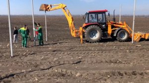 Закладываем сад. Задавливаем столбы под шпалеру