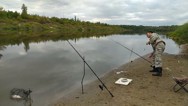 ОТЛИЧНЫЙ УЛОВ ДЛЯ ОСЕННЕЙ РЫБАЛКИ. РЫБАЛКА НА ФИДЕР ОСЕНЬЮ. РЫБАЛКА НА ДОНКУ. ФИДЕРНАЯ РЫБАЛКА 2023 смотреть онлайн