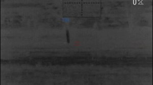 Ночная охота на шакала.