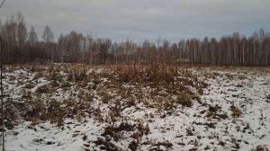 Прогулка по первому снегу