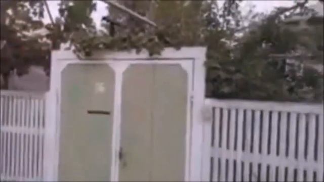 Прогулка по улице Зах (фрагменты): Чирчик сентябрь 2019 г. смотреть онлайн