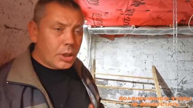 Индийский бегунок 21 день. Обзор породы. "Мое Подворье" смотреть онлайн