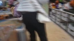 Непромокаемый комбинезон для корги