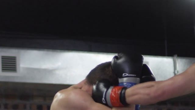 Открытие Академии единоборств Qazaq Batyry смотреть онлайн