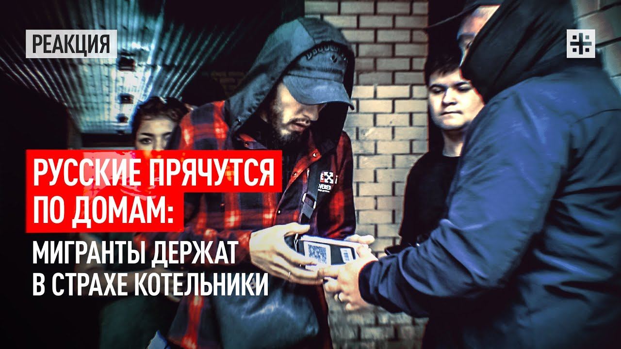 Русские прячутся по домам: Мигранты держат в страхе Котельники