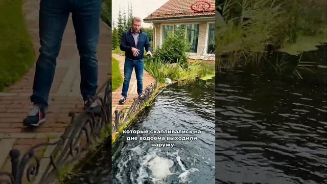 Аэратор в пруду с рыбой - это важно #водоем #пруд #пруднадаче #пруднаучастке #строимпруд #аэратор