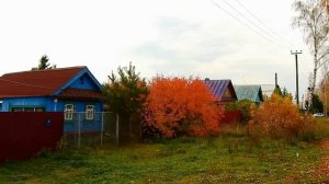 Встреча в осеннем лесу. Лебединое озеро.