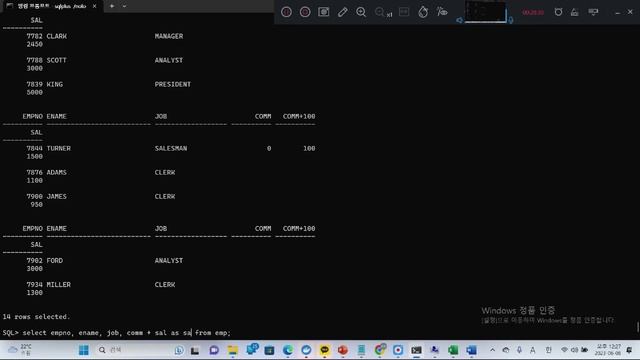 율곡선생 77기 4강 oracle 오라클 데이터베이스 널 Null, nvl함수 사용법,  distinct 중