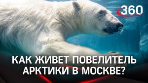 Волонтеры «Роснефти» познакомили воспитанников детского дома с Московским зоопарком