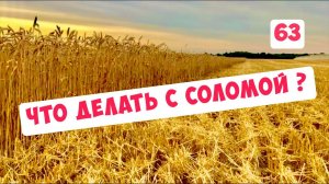 ЧТО ДЕЛАТЬ С СОЛОМОЙ ПОСЛЕ УБОРКИ ?