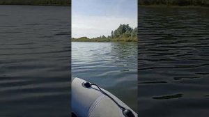 Меркурий 3.3 лодка Таймень 320 нднд